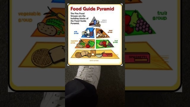 'Food Guide Pyramid | Did you Know #5 | Health Facts | #shorts'