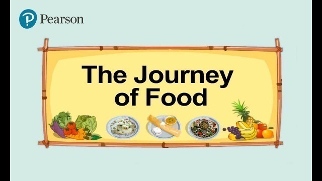 'Class 5 Science | Digestion - Journey of Food - Human Digestive System and Parts | Pearson'