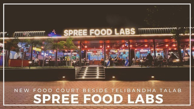 'Spree Food Labs Raipur | Vlog 98 | Raipur Ka Naya Adda, Besides Telibandha Talab'