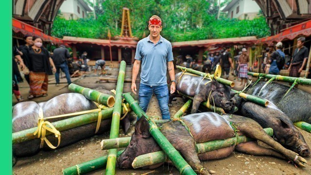 '100 Buffalo, 50 Pigs, 1 Funeral!! Indonesia’s Costly Journey to Afterlife!!'