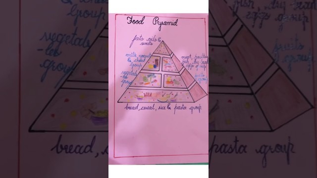 'Food Pyramid #shorts #ytshorts #subscribetomychannel #'