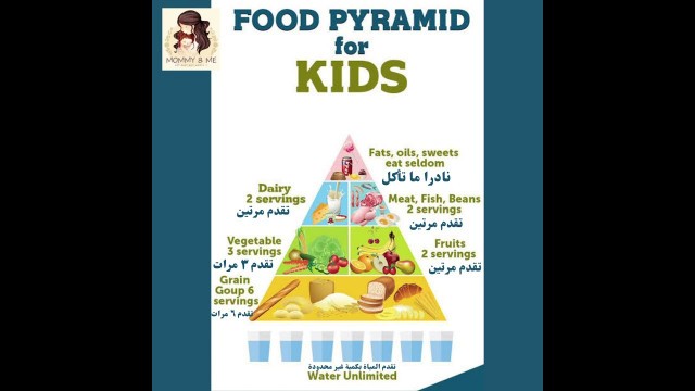 'Food pyramid for kids الهرم الغذائي للاطفال'