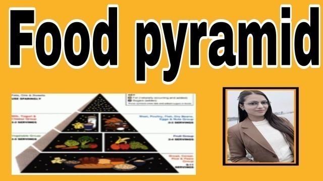 'Food pyramid lab assistant home science 2022#home science class'