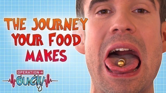 'The Journey Your Food Makes | Full Episode | Operation Ouch'