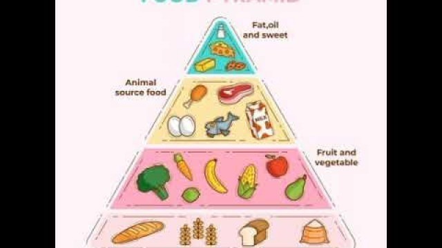 'Food Pyramid English Class'