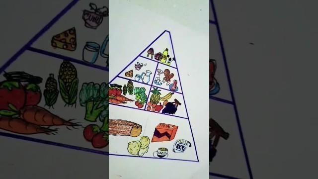 'the food pyramid 