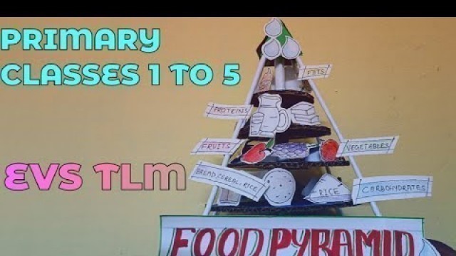 'Food Pyramid/Easy Model Of Food Pyramid #food #besttlm'