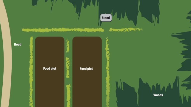 'Divide Food Plots'