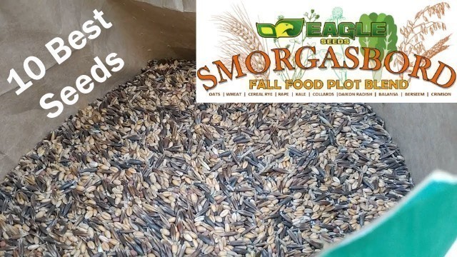 'Fall 2021 Food Plots Eagle Seeds Smorgasbord Fall Blend'