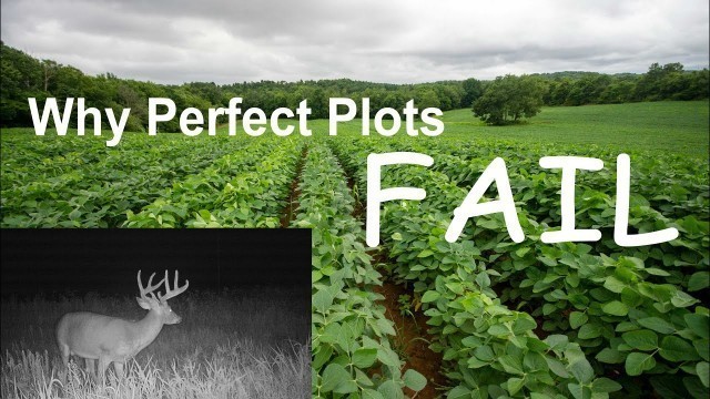 'Why perfect food plots FAIL'