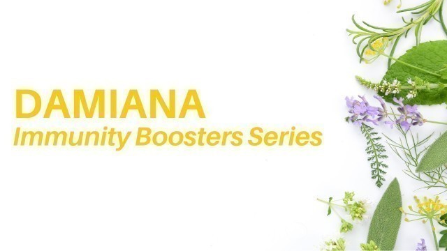 'Damiana - Immunity Booster Series Damiana Benefits (Dr. Sebi Alkaline Diet)'