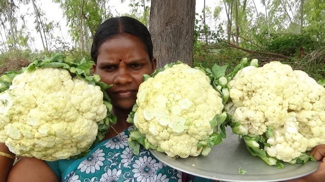 'Cauliflower Curry /Cauliflower Masala Gravy /Gobi Masala Curry and  Gravy,,'