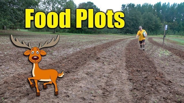 'Planting Deer Food Plots'