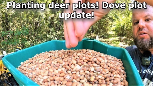 'Planting food plots for fall #641'