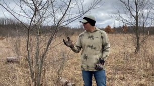 'Deer Food Plots The Simple Way - #2 Clearing'