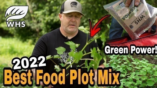 '2022 Best Food Plot Mix'