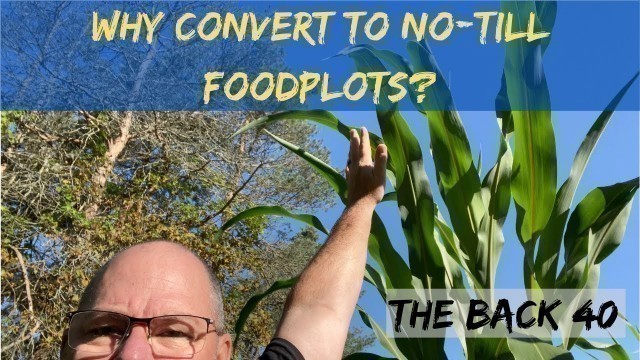 'Why Convert to No-Till Food Plots?  Here\'s is a  Direct Comparison'