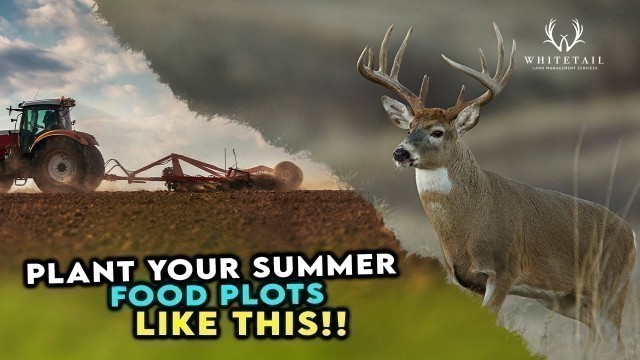 'ALWAYS Plant Your Summer Food Plots LIKE THIS!!! DO NOT SKIP!!!'