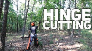 'Feed & Hold Deer Without Food Plots -Hinge Cutting S9 #17'