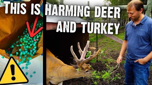 'Is Food Plot Seed Poisoning Wildlife? The Truth about Neonic-Treated Food Plot Seed'