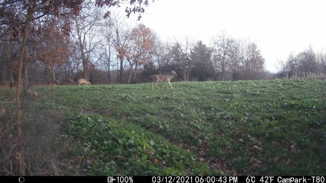 '2021 December Food Plots'