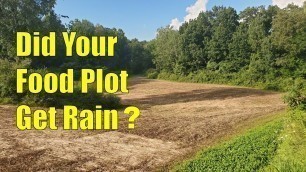 'How To Check Radar History For Rainfall On Food Plots For Deer'