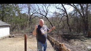 'New pig feeder | Moving the Pigs and Planting Food Plots for Pasture Raised Pigs'