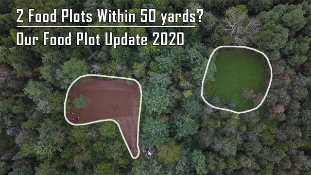 'Check Out Our FOOD PLOTS | How “Micro Plots” Changed The Game'