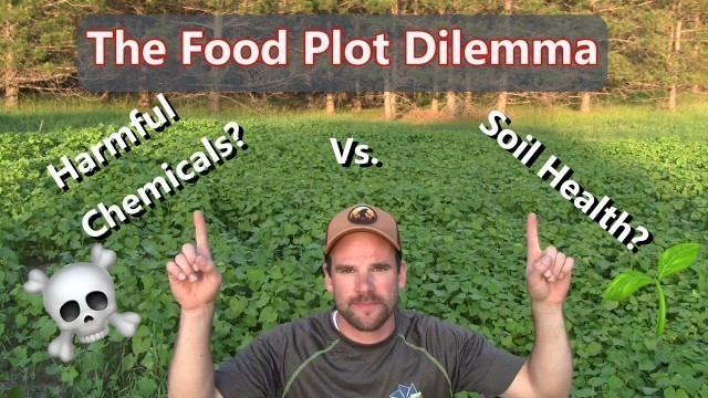 'No Till vs. No Spray Food Plots'