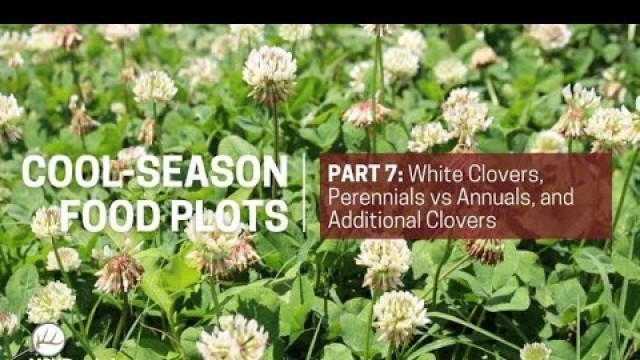 'Cool Season Food Plots Part7'