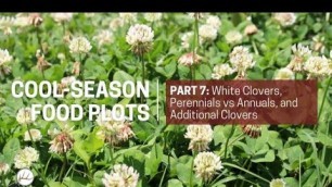 'Cool Season Food Plots Part7'