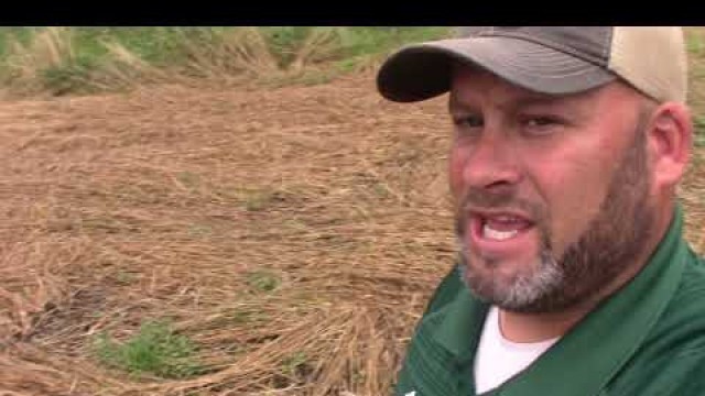 'The Hunting Grounds, Part 3  Terminating & Transitioning food plots'