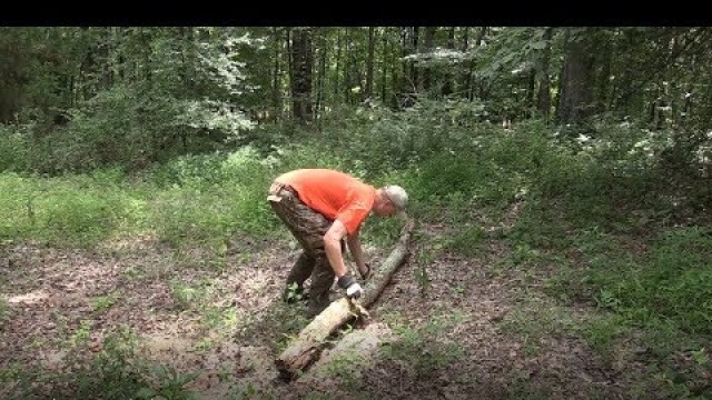 'No Till Fall Food Plots'