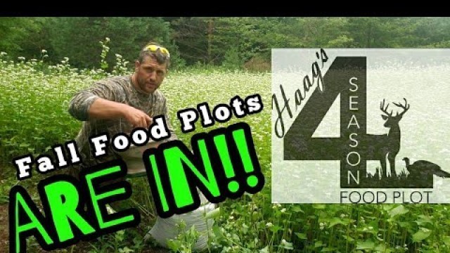 'Fall Food Plots for Whitetails'