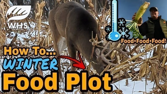 'How To Create A Winter Food Plot'