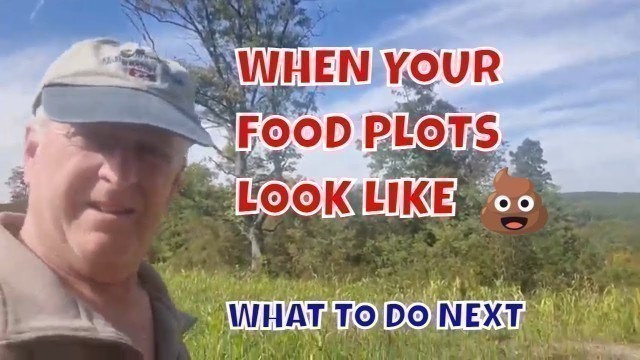 'First Year Food Plots - be Patient and Keep Planting!'