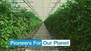 'Farmers in the Netherlands are growing more food using less resources | Pioneers for Our Planet'