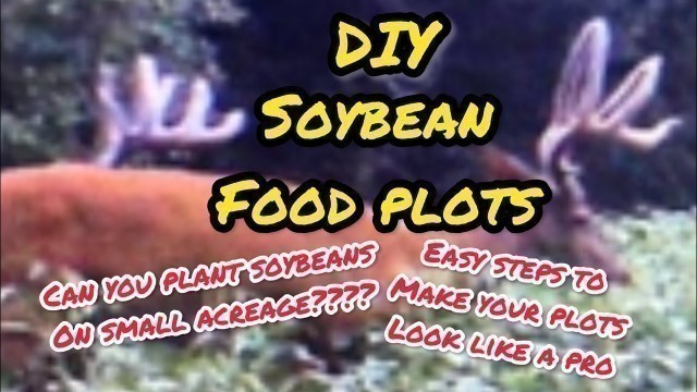 'DIY soybean food plot for whitetail deer hunting. #deer #foodplots #deerhunting #bucks #howto #diy'