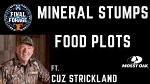 'Round 01 - MINERAL STUMPS & FOOD PLOTS | FINAL FORAGE'