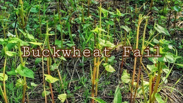 'Food Plots Updates'