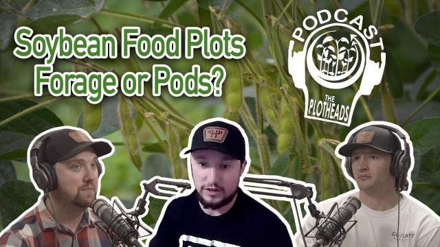 'Soybean Food Plots - Forage or Pods? | The Plot Head\'s Podcast'