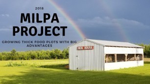 'MILPA- Growing THICK Food Plots with BIG Advantages'