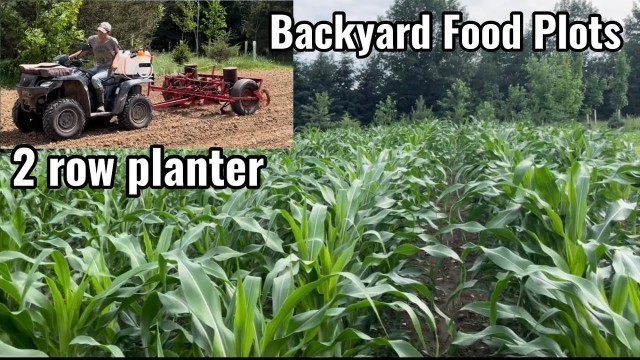 'Backyard Corn & Soybean Food Plots 2022'