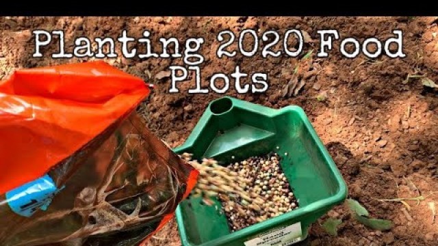 'Planting 2020 Food Plots Pennington Dual Season and Throw And Grow'