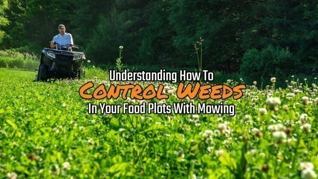 'Understanding How to Control Weeds In Your Food Plots with Mowing'