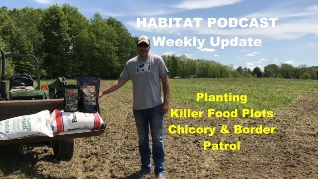 'Habitat Podcast Weekly Update Killer Food Plots Chicory & Border Patrol'