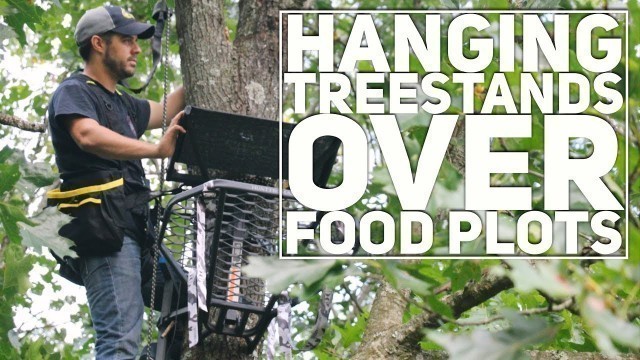 'Hanging Treestands Over Food Plots  S8 #26'