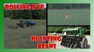 'How to Plant Food Plots with Cover Crop'