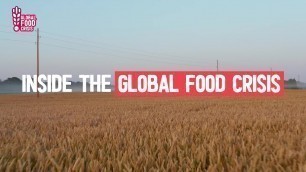 'Will there be a global food shortage?'