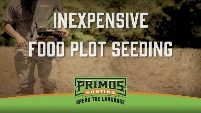 'Inexpensive Ways to Seed Your Food Plots'